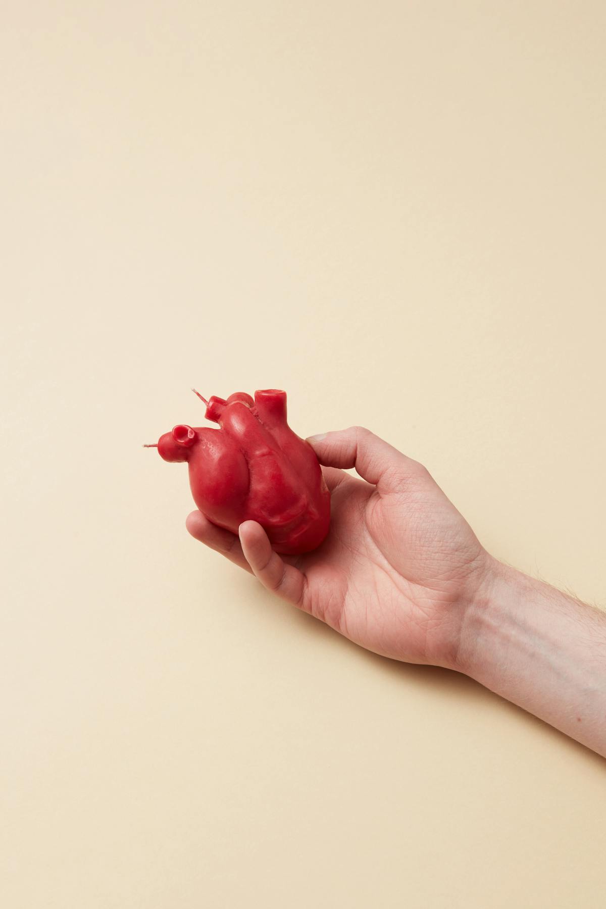 Cholesterol on Carnivore: Why Your LDL Number Isn't the Whole Story