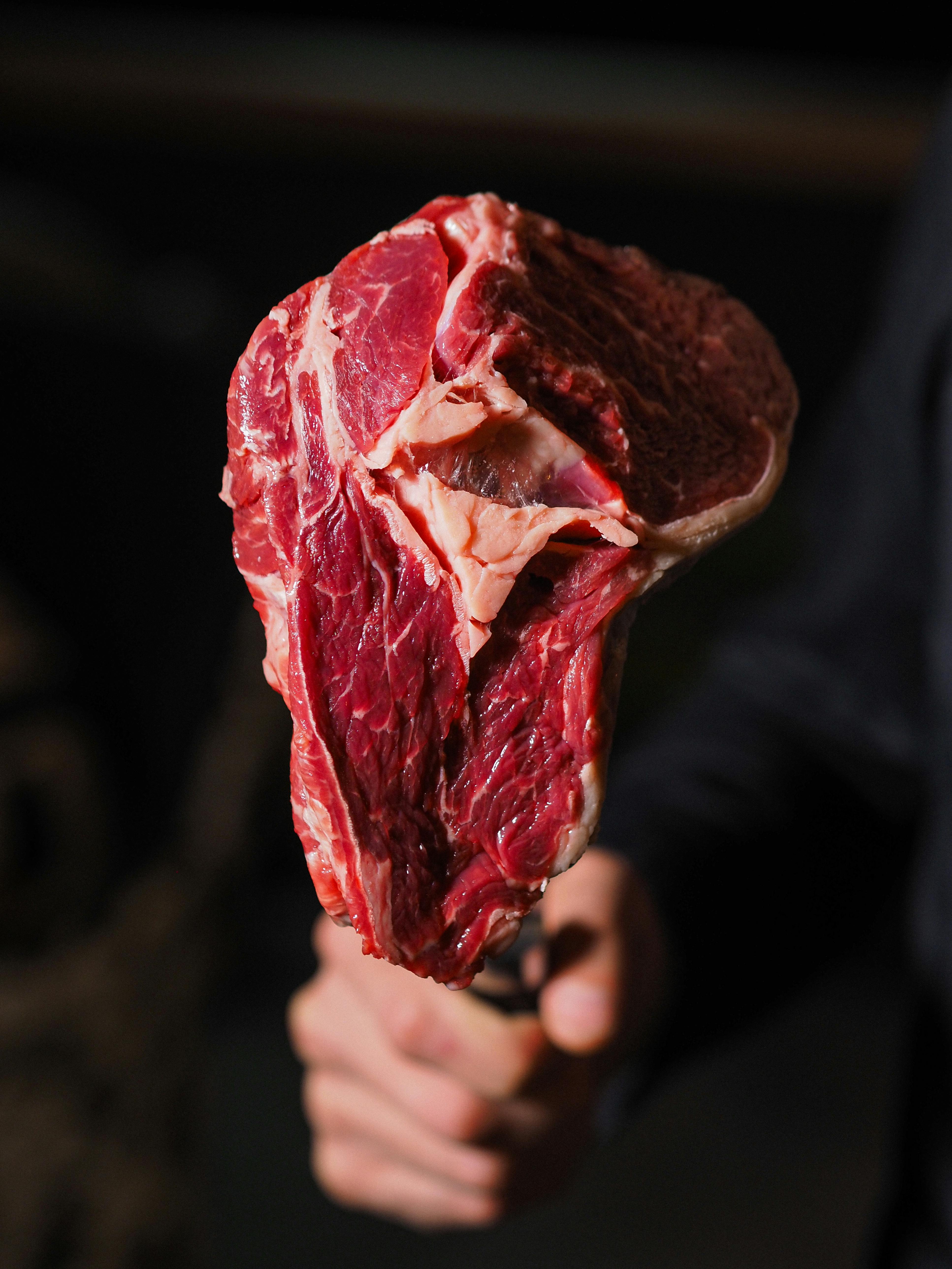 Heal First, Lose Later: The Two Phases of Carnivore That Most People Get Backwards