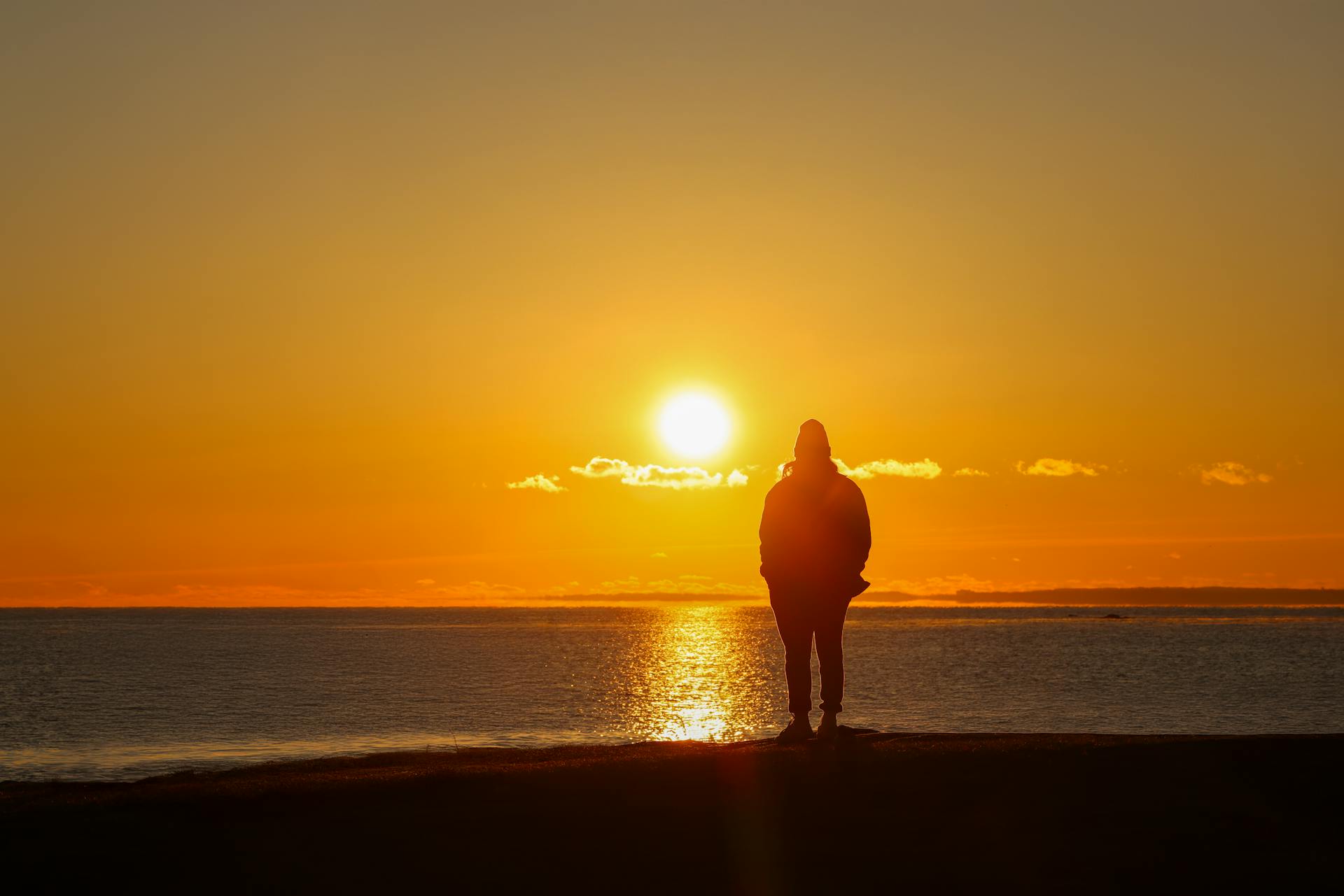 Light Is a Nutrient: How Sunlight and Artificial Light Shape Your Health